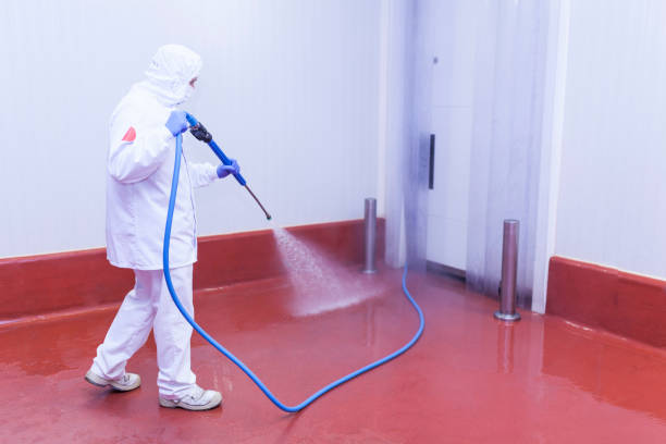 Best Rust Removal  in Avon, CO