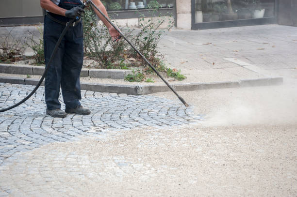 Best Roof Washing  in Avon, CO